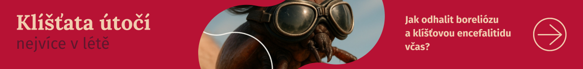 Slide thumbnail